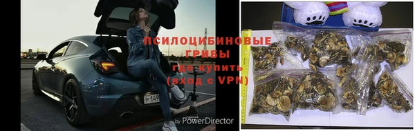 каннабис Дмитриев