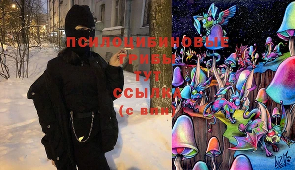 mdma Дмитров