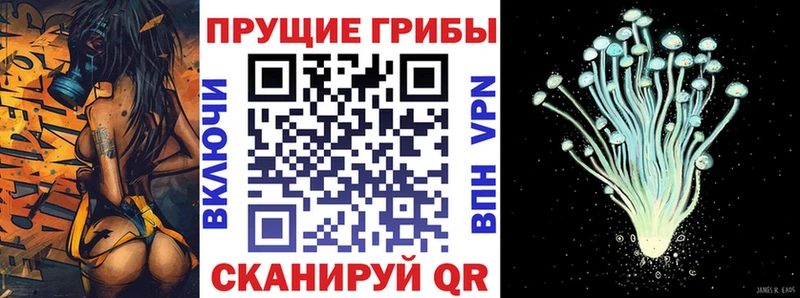 наркота  Оренбург  ссылка на мегу tor  Псилоцибиновые грибы Psilocybine cubensis 